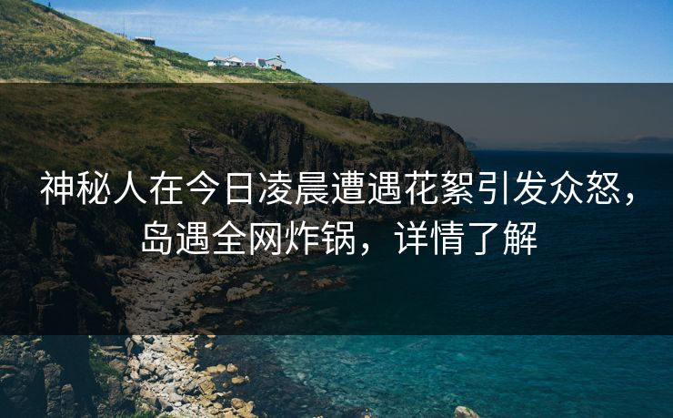 神秘人在今日凌晨遭遇花絮引发众怒，岛遇全网炸锅，详情了解
