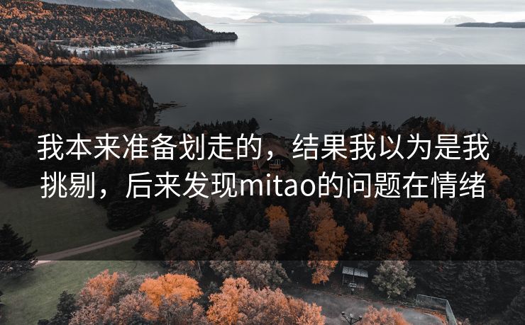 我本来准备划走的，结果我以为是我挑剔，后来发现mitao的问题在情绪
